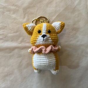 corgi dog