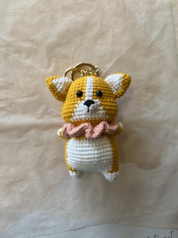 corgi dog
